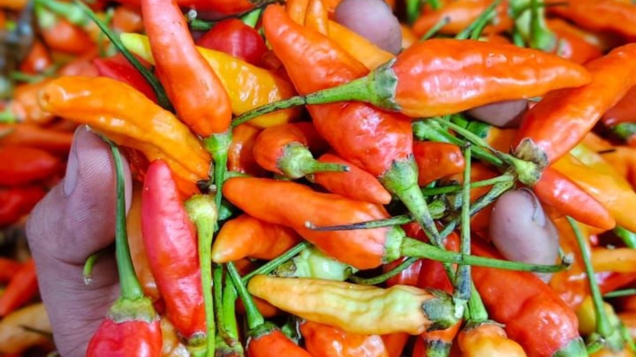 Harga Cabai Rawit Turun Jadi Rp46.906/kg, Bawang Merah Naik Jadi Rp39.014/kg