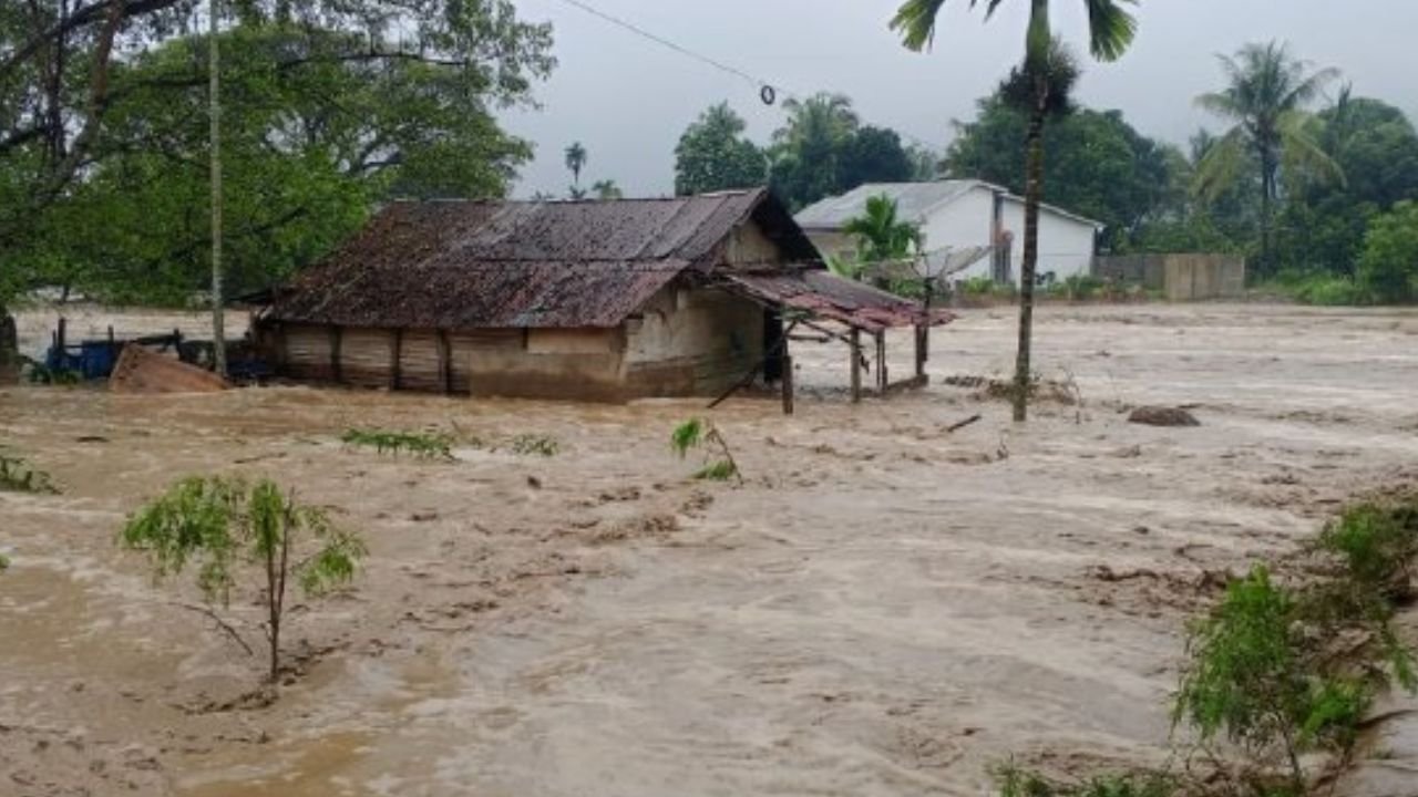 Ahli: Kapasitas Pemerintah Daerah Jadi Penentu Status Bencana Nasional, Bukan Jumlah Korban