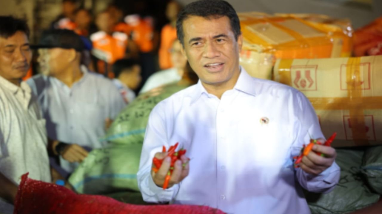 Kementan Beli 40 Ton Cabai Petani Aceh, Dikirim ke Jakarta via Hercules