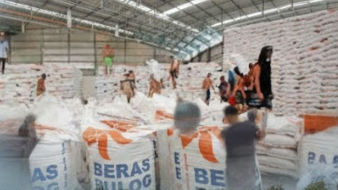 BULOG Intensifkan Penyerapan Gabah dan Beras Petani di Seluruh Indonesia