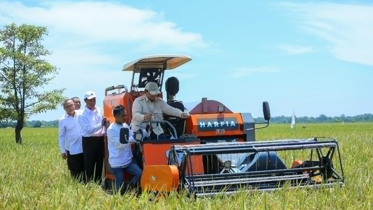 Produksi Padi Nasional 2025 Naik 13,29 Persen, Capai 60,21 Juta Ton Gabah Kering Giling
