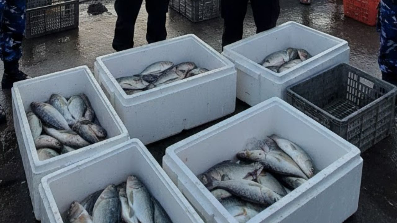 KKP Perketat Pengawasan Mutu Ikan Jelang Ramadan 2026