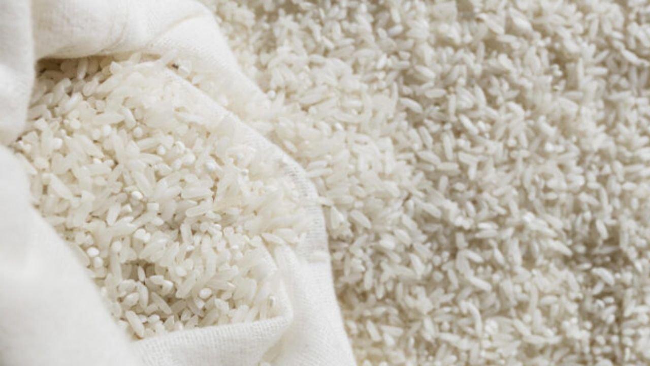 Produksi Beras Januari 2026 Tumbuh 38,56 Persen, Capai 1,75 Juta Ton