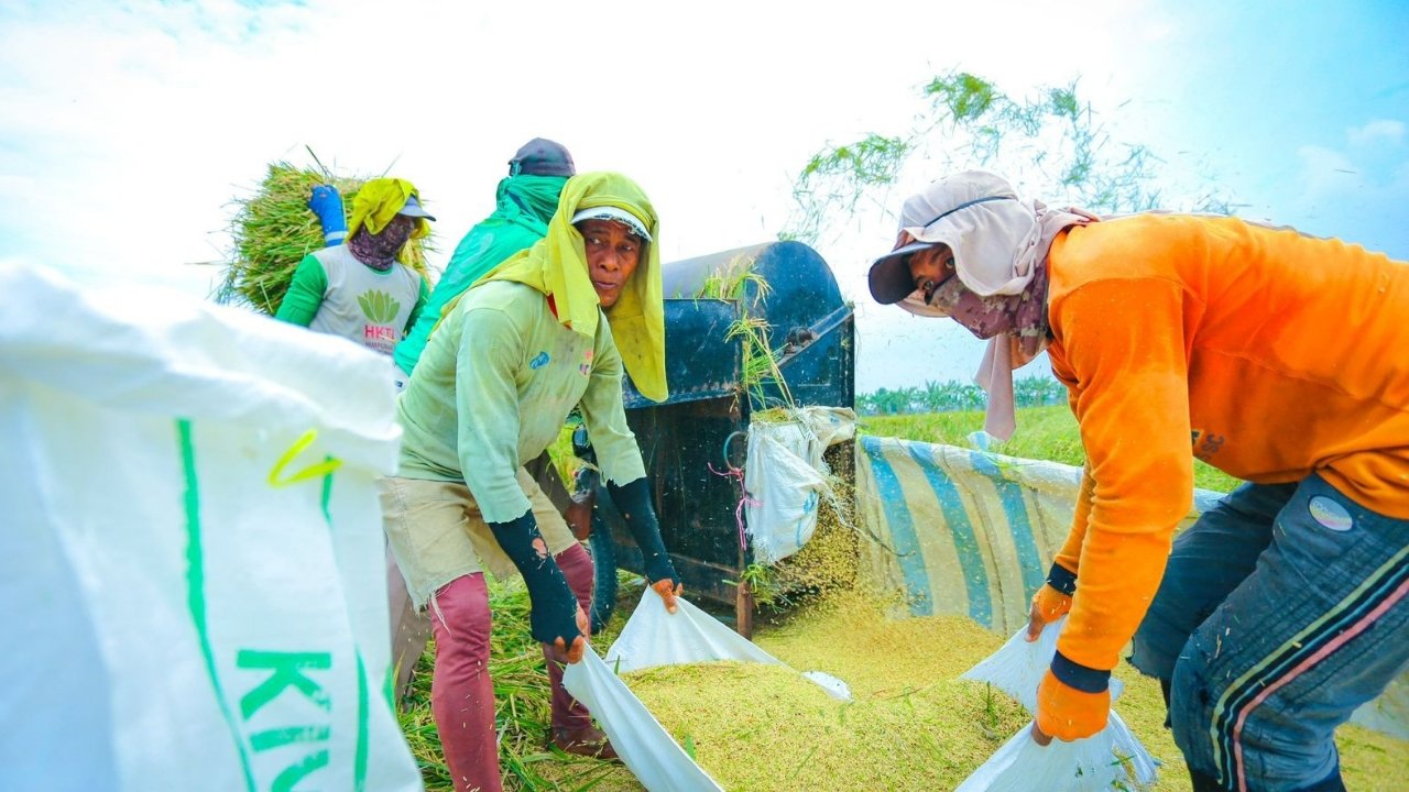 Stok Pangan Melimpah, Petani hingga Konsumen Senyum Sambut Lebaran 2026