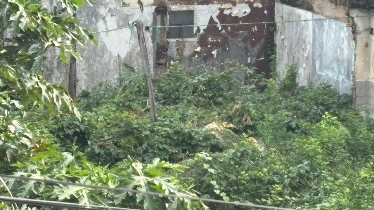Jawa Tengah Jadi Provinsi dengan Sertifikasi Tanah Wakaf Tertinggi di Indonesia